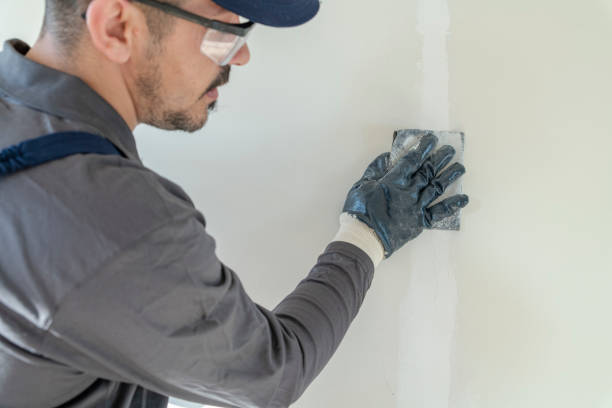 Best Basement Mold Removal  in Milton, WA
